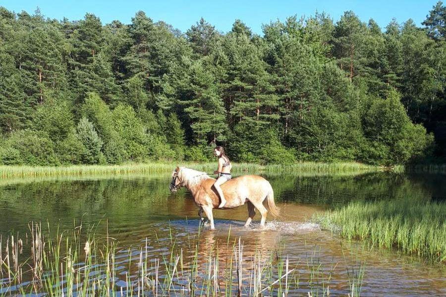 Schroederhof Apartment Unterluss Екстериор снимка